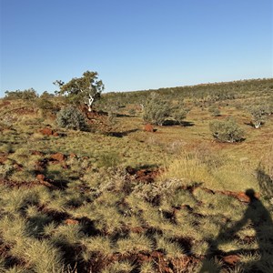 Red Roo Trail