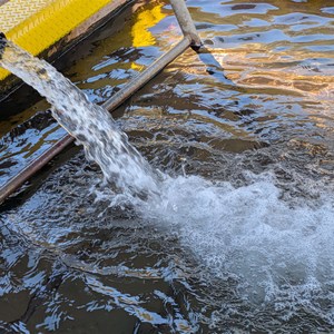 Pilliga Bore Bath Aretesian Swimming Pool