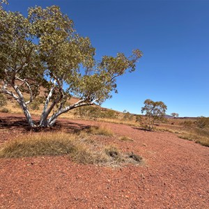 Remote bush camp