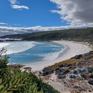 Native Dog Beach