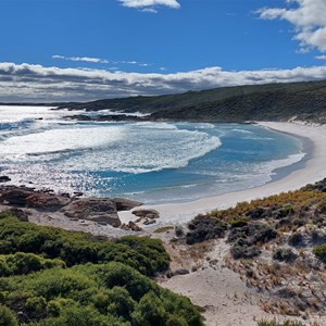 Native Dog Beach