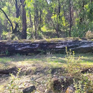 The Rapids hikers rest area