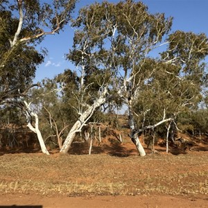 Wandarry Creek