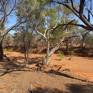 Little Pingandy Creek