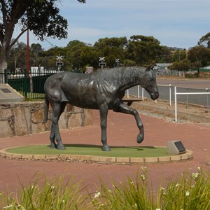 The town was named after the horse Norseman