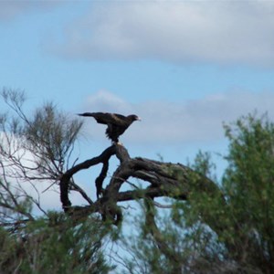 Keeping watch