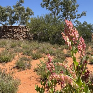 Mundary Well