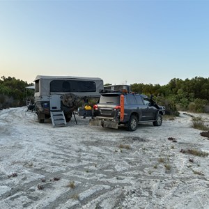 Wattle camp