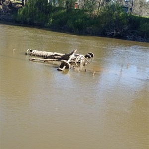 Pss wagga wagga paddle stemmer