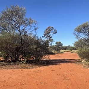 Informal bush camp