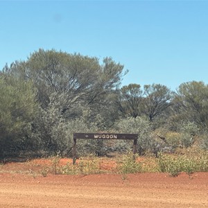 Bush Camps
