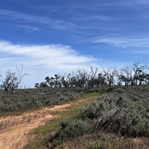 Rosewood picnic area