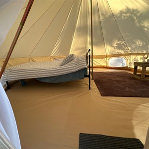 Wild Wishes Glamping