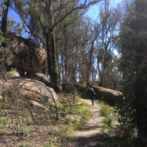 Bald Rock National Park