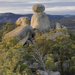 Girraween National Park
