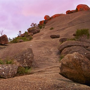Girraween National Park