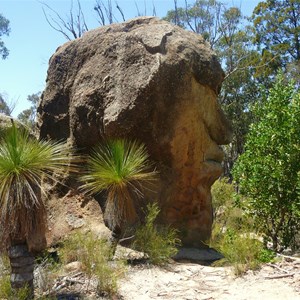 One of natures wonders