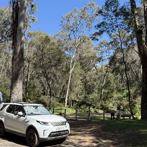 Yackandandah Camp 9