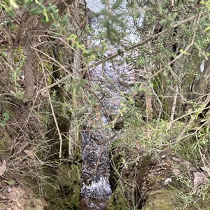 Bright canyon walk