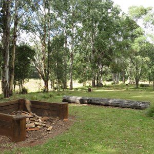 New Country Swamp campsite