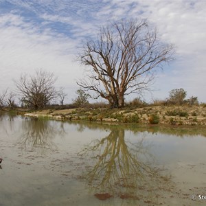 Chowilla Game Reserve