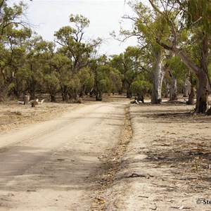 Chowilla Game Reserve