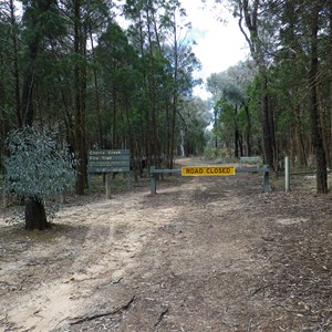 Junction of Ironbark and Wallaby Tks