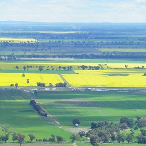 View from Lynch's Loop track