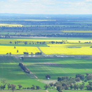 View from Lynch's Loop track