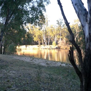 Barmah Forest seen across Murray River