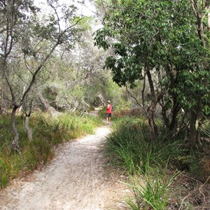 Track to Wallagoot beach