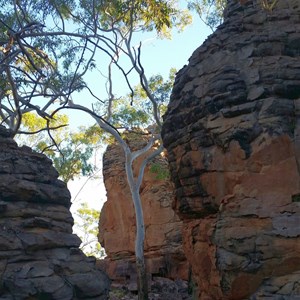 Caranbirini Conservation Reserve