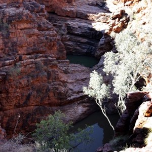 On Ridge top trail at John Hayes Rockhole section