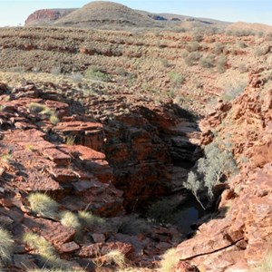 On Ridge top trail at John Hayes Rockhole section