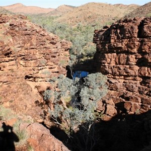 On Ridge top trail at John Hayes Rockhole section