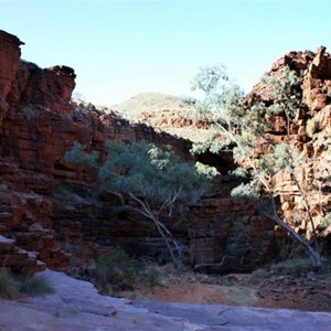 On Ridge top trail at John Hayes Rockhole section