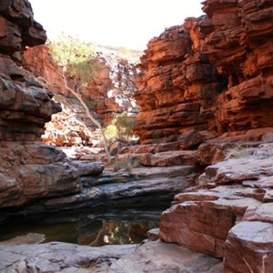 On Ridge top trail at John Hayes Rockhole section