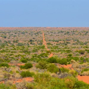 Simpson Desert