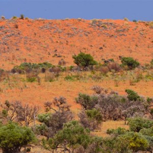 Simpson Desert