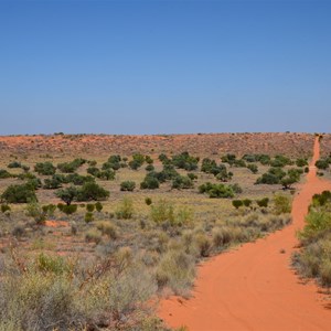 Simpson Desert