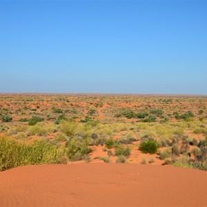 Simpson Desert