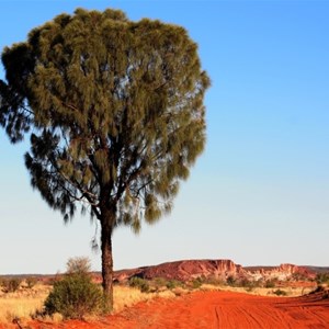 Approaching to the reserve