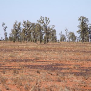 Mac Clark (Acacia Peuce) Conservation Reserve