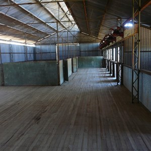 Inside the shearing shed - still in good condition