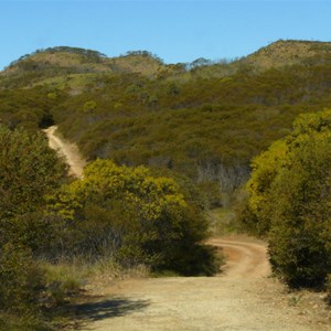 Track from Freds Gorge to Eclipse Gap Lookout