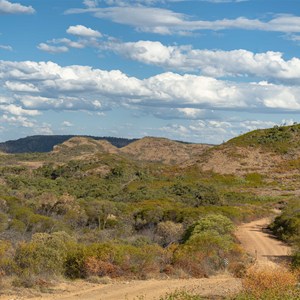 main access track