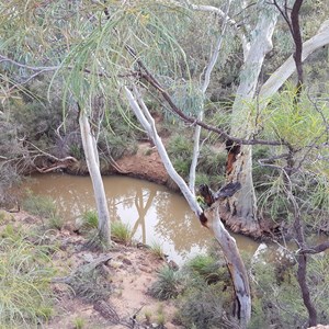 Hell Hole Gorge National Park