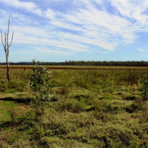 Lake Murphy when dry