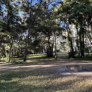 Kroombit Tops National Park