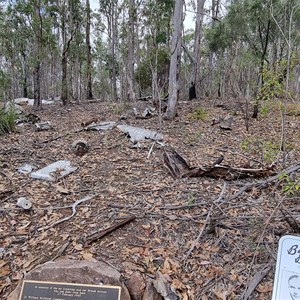 Kroombit Tops National Park